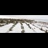 Historic snow blankets eastern Spain