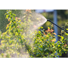 As global insect population plunges toward total ecological collapse, the corporate-run media still censors the truth about GMOs and pesticides