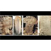 Gobekli Tepe - Pillar 43 Vulture Stone - Robert Sepehr Explains Vulture Section