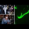 New BLACK DEATH plague strain can kill in just 3 HOURS. The Black Death has come Back!! was most devastating pandemics in human history, previously resulted in deaths of 200 million in Europe & Asia