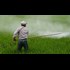 Monsanto Hires Shills to Fight Negative Online Publicity