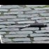 NSFL: Photo of murder weapon used in London attack. NSFL (BLOOD/GORE)