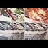 Here is what a CCTV captures the moment a small plane crashes. Just a reminder that we still don't have any footage of a Boeing 757 crashing into the Pentagon on 911