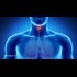 Rates of thyroid cancer tripled since 1975 - public water utilities continue to poison us with water fluoridation