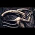 Sun Will Be Darkened By Smoke and Alien Locusts of the Bottomless Pit - Prophecy Confirmed! (Video)