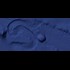 Whats this 2.5-mile long object moving under Pacific Ocean?