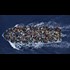 WikiLeaks Julian Assange on Europes Secret Plan for Military Force on Refugee Boats from Libya