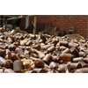 In 1998, Bill Clinton ordered the bombing of a medicine factory in Sudan. The country has yet to recover.
