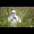 Bill Nye Supports GMO Crops