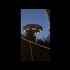 Tourists film huge UFO over Italian hotel