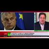 Anti-Orban US State Dept repeatedly interferes in Hungarian affairs - Daniel McAdams