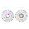 MEDICAL HORROR: Genetic sequencing of common vaccine finds entire male human genome from aborted human baby