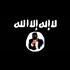UK Parliamentary Report Finds US Allies Are Covertly Funding ISIS