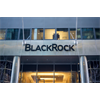 Meet BlackRock, the New Great Vampire Squid