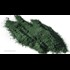Nuns grow spirulina for malnourished children - You can grow this superfood at home