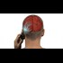 Game-Changing Study Links Cellphone Radiation to Cancer