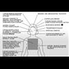 Government Accidentally Sends Files on Remote Mind Control to Journalist